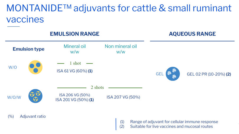 MONTANIDE adjvuants for cattle and small ruminants.jpg