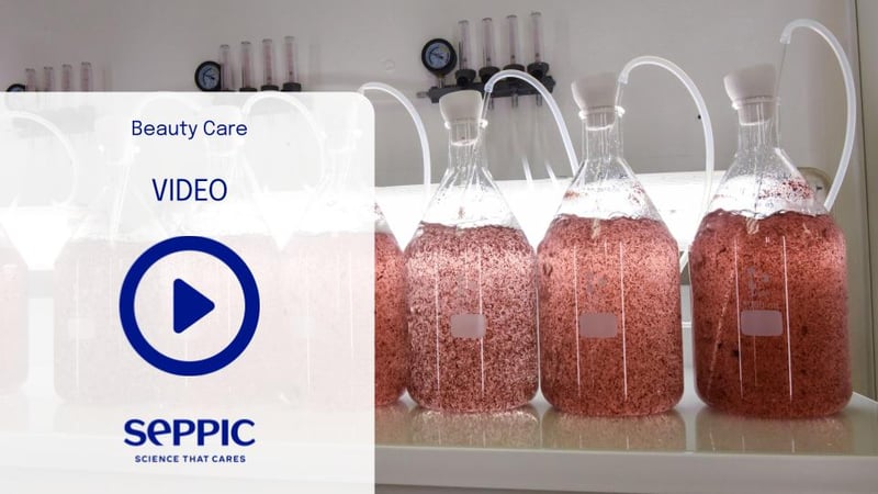 Seppic | Sepischool™