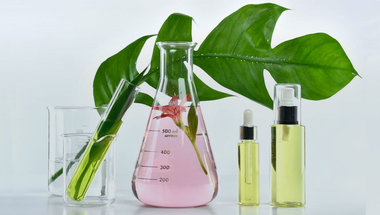 Green solubilizers for your formulations