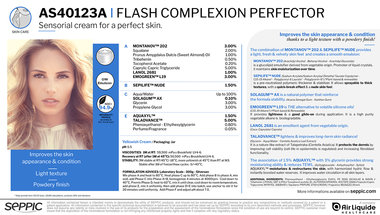 AS40123A Flash complexion perfector GB