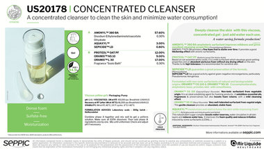 US20178 - Concentrated cleanser GB