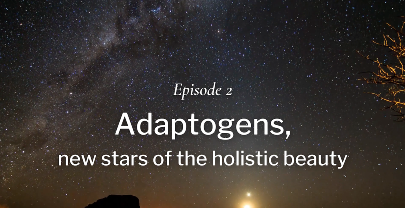The Inspifactory serie - Episode 2: Adaptogens, new stars of the holistic beauty