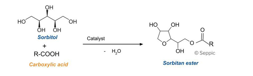 Esterification of sorbitol and carboxylic acid (monoester)