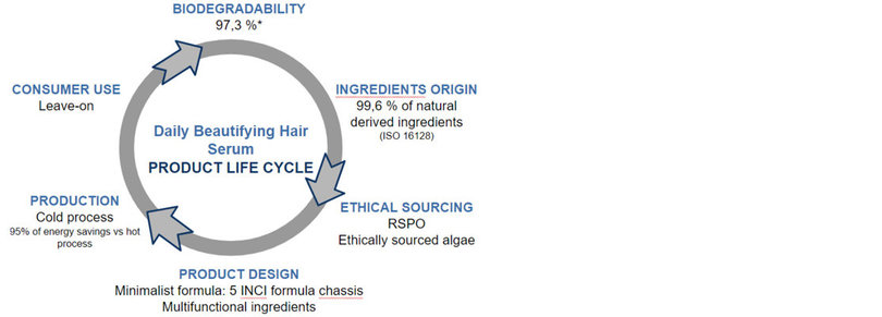 Figure 5 Daily Beautifying Hair Serum - product life cycle