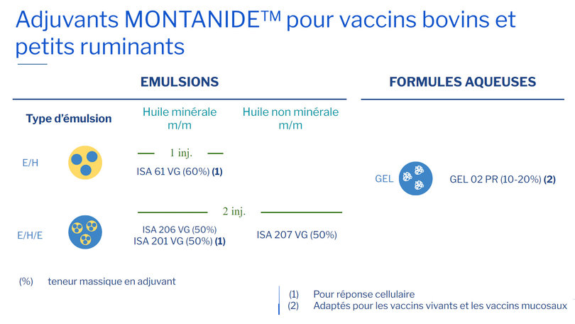 Adjuvants MONTANIDE pour vaccins bovins et petits ruminants