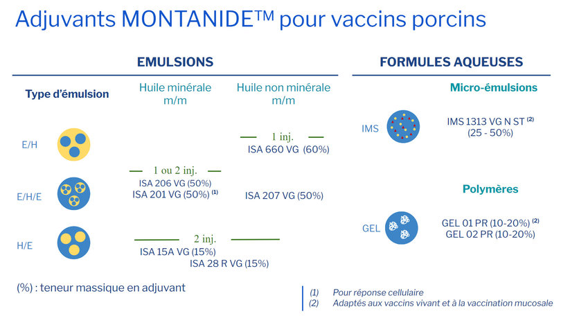 Adjuvants MONTANIDE pour vaccins porcins