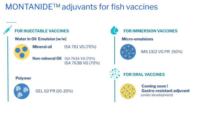 MONTANIDE adjuvants for fish vaccines.jpg