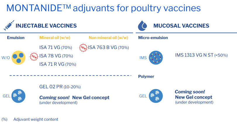 MONTANIDE adjuvants for poultry vaccines.jpg