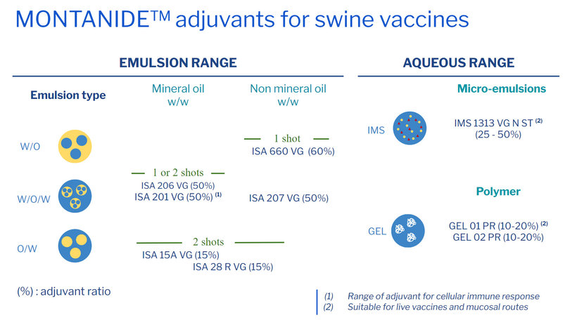 MONTANIDE adjuvants for swine vaccines.jpg