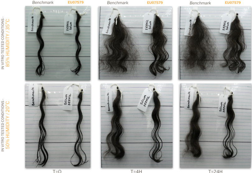 Seppic simulquat HC305 Frizz Free & Volume Control on Natural Brazilian hair tresses