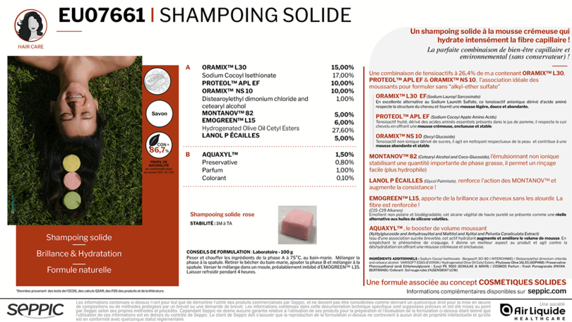 EU07661-Solid-Shampoo-FR