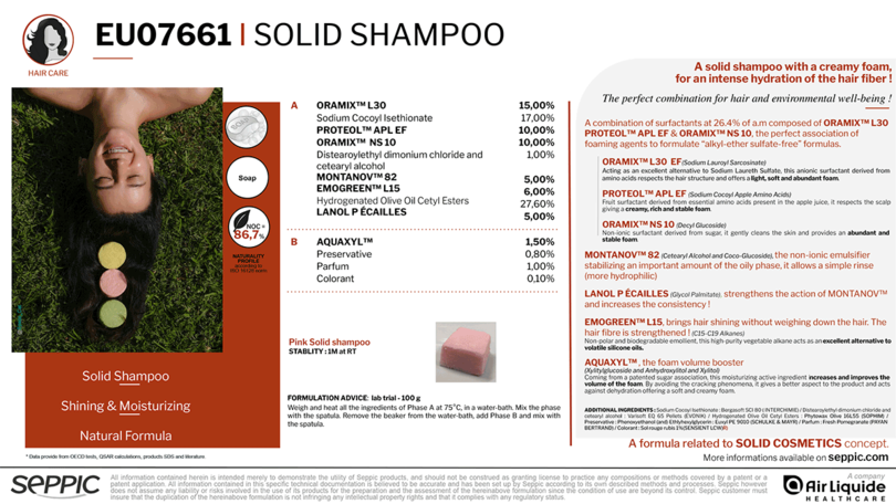 EU07661-Solid-Shampoo-GB