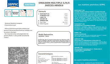 EU07083 - Emulsion multiple e/h/e succes absolu