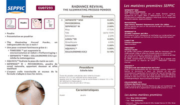 EU07293 - Radiance revival the illuminating pressed powder