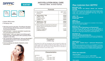 EU07407 - Anti pollution ideal care for oily skin - in vivo tested