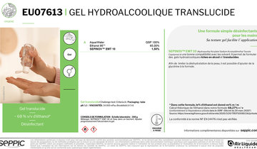 EU07613 Translucid hydroalcoholic gel