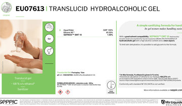 EU07613 Translucid hydroalcoholic gel