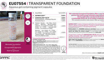 EU07554 - Transparent foundation