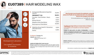 EU07389 - Hair modeling wax