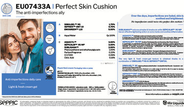  EU07433A - Perfect skin cushion