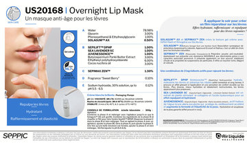 US20168 - Overnight Lip Mask FR