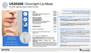 US20168 - Overnight Lip Mask GB
