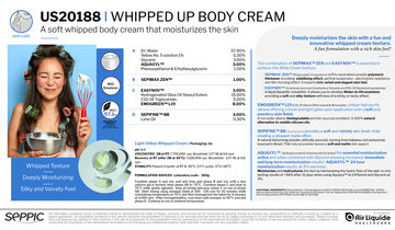 US20188 - Whipped up body cream