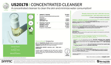 US20178 - Concentrated cleanser GB