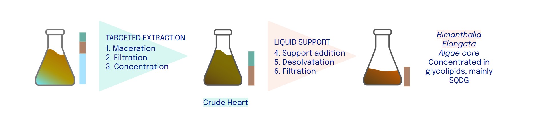 Reasons why and tips to select algae extracts for cosmetics