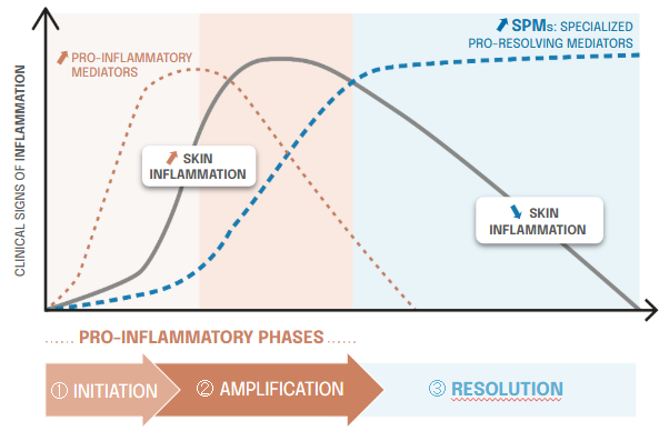 Macro'age™: resolving inflamm'aging, a new standard for skin longevity